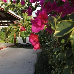Hébergement de vacances Kalypso - Les Kikko, Saint-Francois (Grande-Terre)